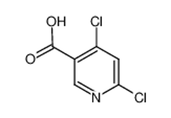 Picture of 4,6-Dichloronicotinic Acid