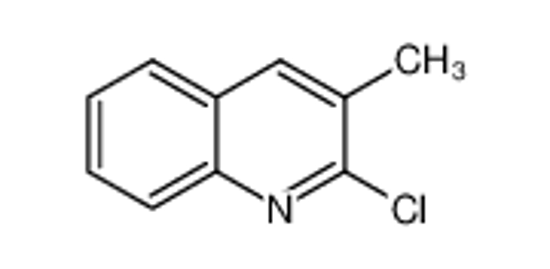 Picture of 2-Chloro-3-Methylquinoline