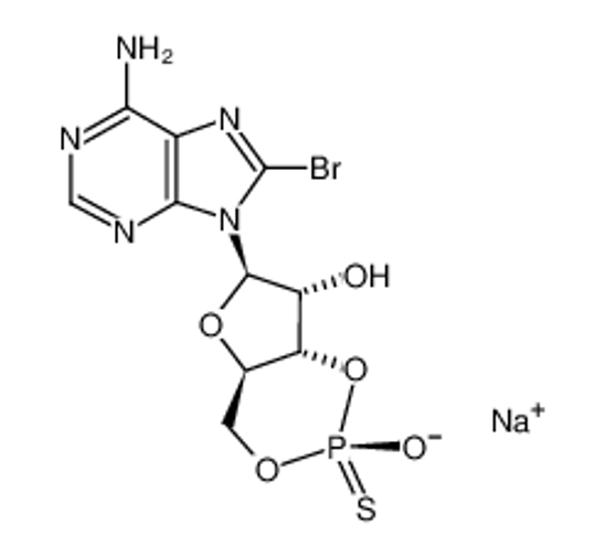 Picture of 8-BROMOADENOSINE-3',5'-CYCLIC MONOPHOSPHOROTHIOATE, RP-ISOMER SODIUM SALT