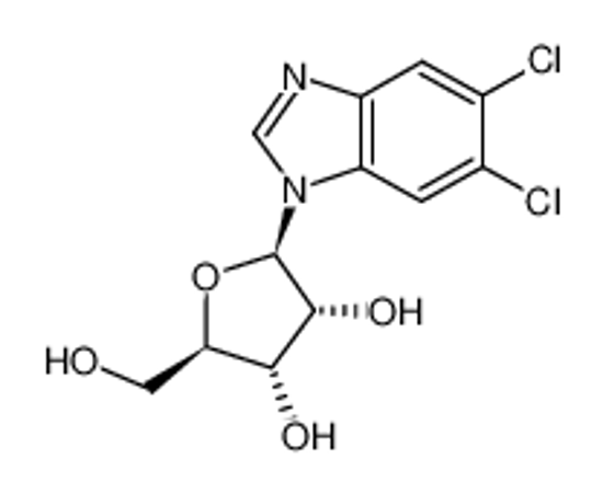 Picture of 5,6-Dichloropurine-1-β-D-ribofuanosyl-H-benzimidazole