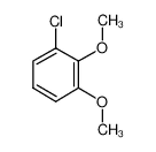 Picture of 1-Chloro-2,3-dimethoxybenzene