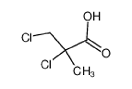 Picture of 2,3-Dichloroisobutyric Acid