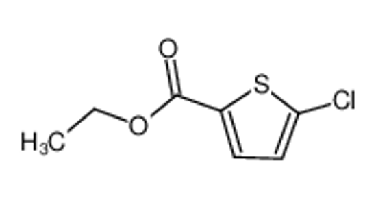 Изображение Ethyl 5-Chlorothiophene-2-Carboxylate