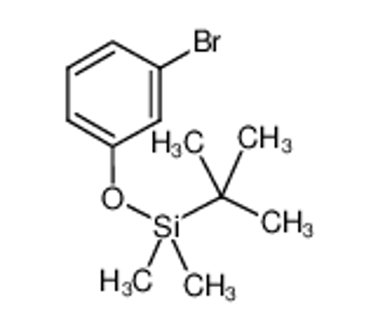 Picture of (3-bromophenoxy)-tert-butyl-dimethylsilane