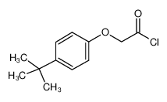 Picture of 4-tert-Butylphenoxyacetyl chloride