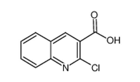 Picture of 2-Chloroquinoline-3-carboxylic acid