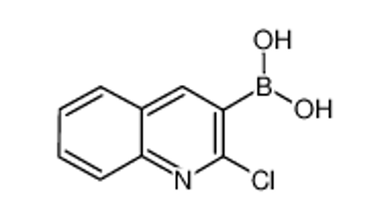 Picture of 2-Chloroquinoline-3-boronic acid