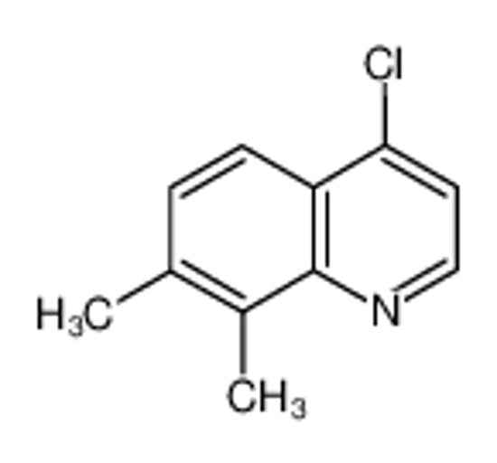Picture of 4-CHLORO-7,8-DIMETHYLQUINOLINE