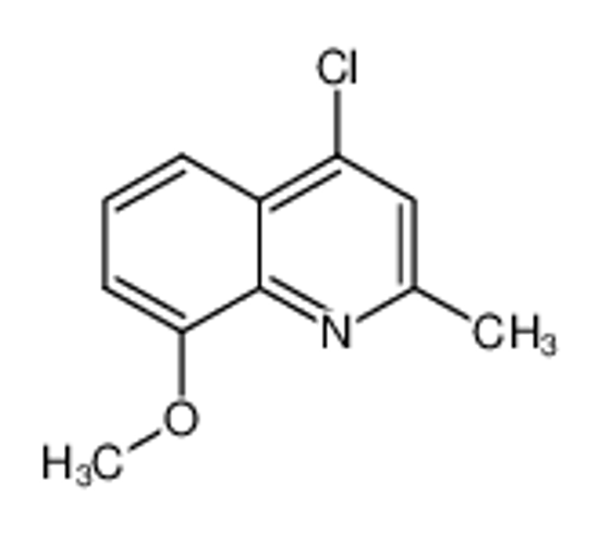 Picture of 4-Chloro-8-methoxy-2-methylquinoline