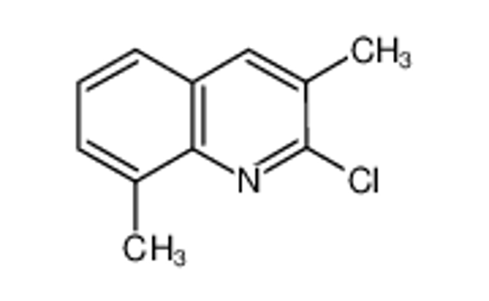 Picture of 2-CHLORO-3,8-DIMETHYLQUINOLINE
