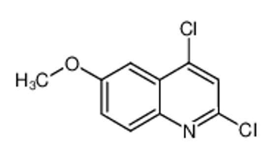 Picture of 2,4-Dichloro-6-methoxyquinoline