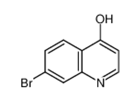 Picture of 7-Bromo-4-hydroxyquinoline