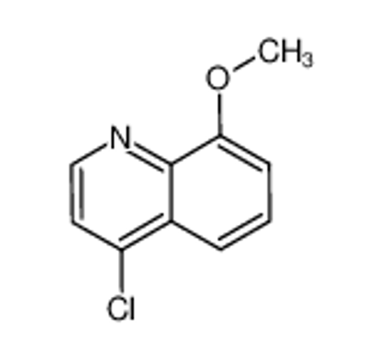 Picture of 4-Chloro-8-methoxyquinoline