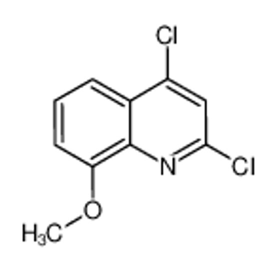 Picture of 2,4-DICHLORO-8-METHOXYQUINOLINE