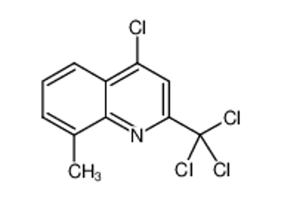 Picture of 4-chloro-8-methyl-2-(trichloromethyl)quinoline