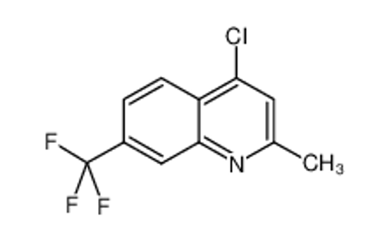 Picture of 4-CHLORO-2-METHYL-7-(TRIFLUOROMETHYL)QUINOLINE
