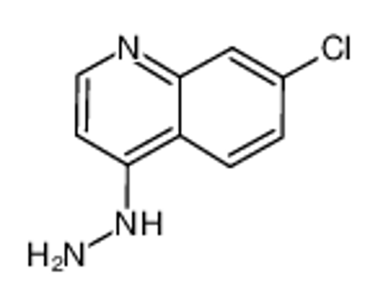 Picture of (7-chloroquinolin-4-yl)hydrazine