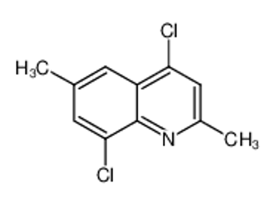Picture of 4,8-DICHLORO-2,6-DIMETHYLQUINOLINE