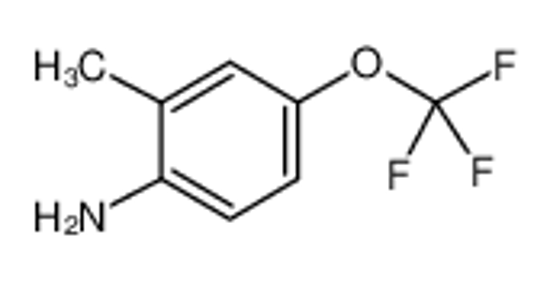 Изображение 2-Methyl-4-(trifluoromethoxy)aniline