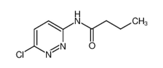 Picture of N-(6-chloropyridazin-3-yl)butanamide