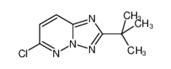 Picture of 2-tert-butyl-6-chloro-[1,2,4]triazolo[1,5-b]pyridazine
