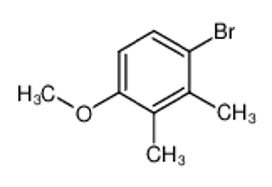 Picture of 4-Bromo-2,3-dimethylanisole
