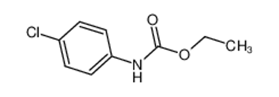 Picture of N-(p-Chlorophenyl)urethane