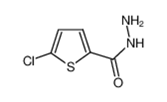 Picture of 5-Chloro-2-thiophenecarboxylic acid hydrazide