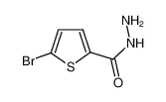 Picture of 5-Bromothiophene-2-Carbohydrazide