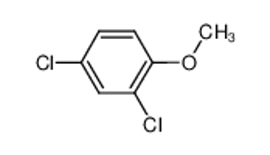 Picture of 2,4-Dichloroanisole