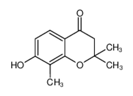 Picture of 7-hydroxy-2,2,8-trimethyl-3H-chromen-4-one