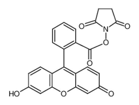 Picture of 5(6)-Carboxyfluorescein N-hydroxysuccinimide ester