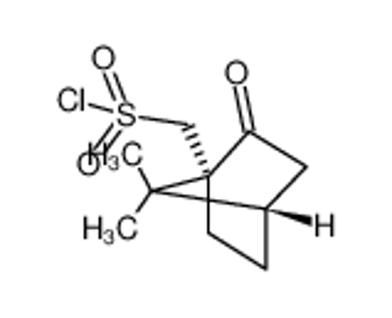 Picture of D(+)-10-Camphorsulfonyl chloride