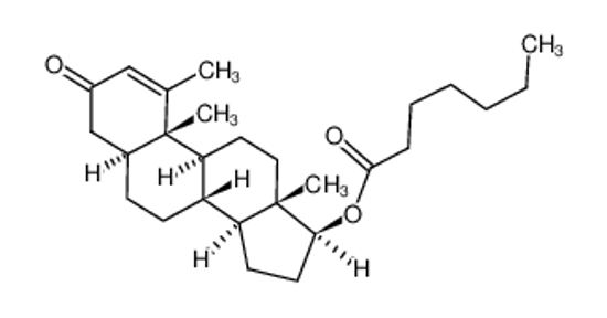 Picture of Methenolone enanthate