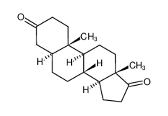 Picture of 5α-androstane-3,17-dione