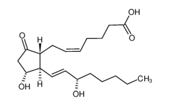 Picture of prostaglandin E2