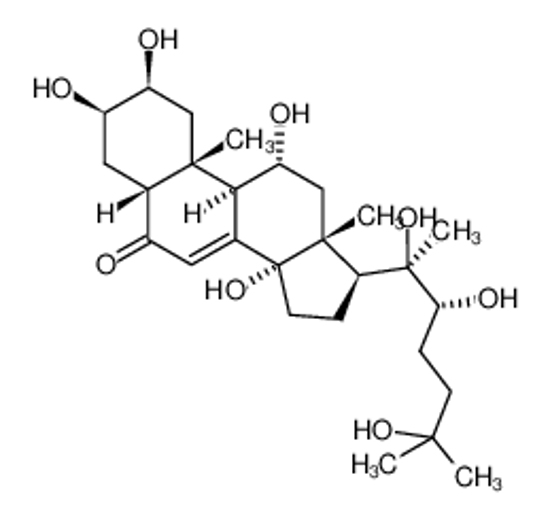 Imagem de turkesterone