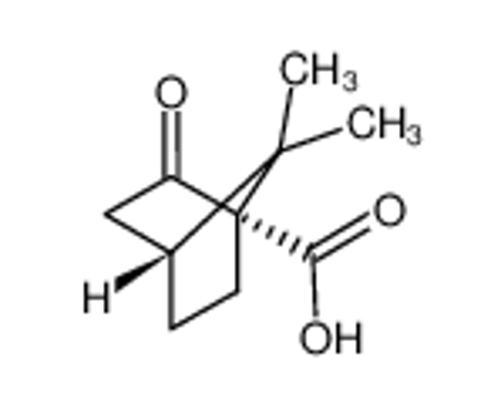 Picture of (S)-(+)-KETOPINIC ACID