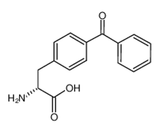 Picture of (2R)-2-amino-3-(4-benzoylphenyl)propanoic acid