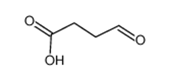 Picture of succinic semialdehyde