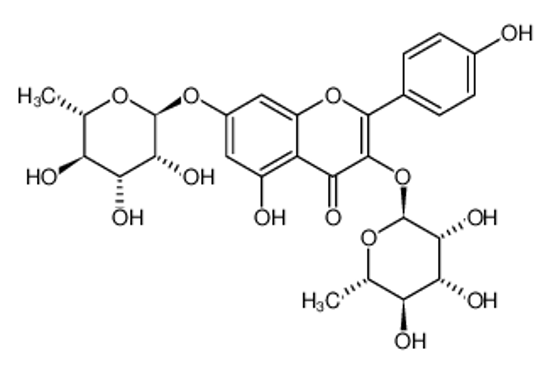 Picture of kaempferol 3-O-α-L-rhamnopyranosyl-7-O-α-L-rhamnopyranoside