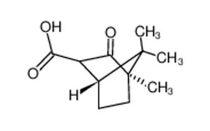 Picture of (+)-CAMPHORCARBOXYLIC ACID