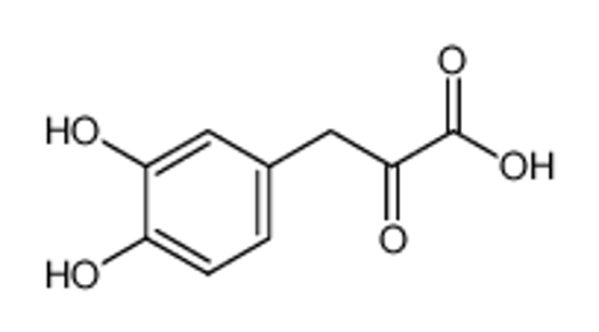 Picture of 3-(3,4-dihydroxyphenyl)-2-oxopropanoic acid