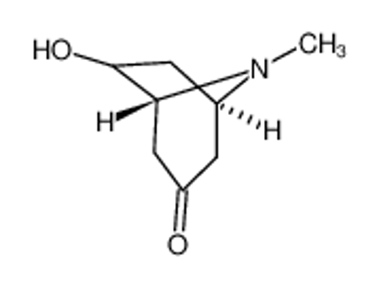 Picture of (+/-)-exo-6-Hydroxytropinone