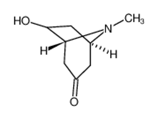 Imagem de (+/-)-exo-6-Hydroxytropinone