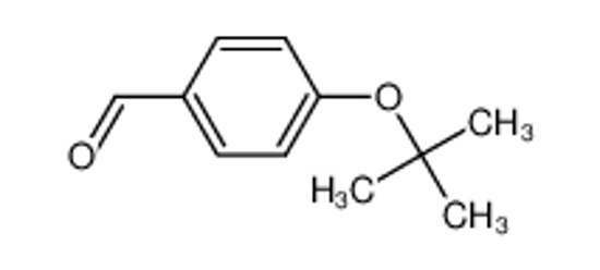 Imagem de 4-(TERT-BUTOXY)BENZALDEHYDE