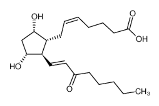 Picture of 15-oxo-prostaglandin F2α