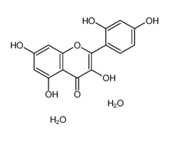 Picture of MORIN DIHYDRATE