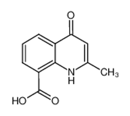Изображение 2-methyl-4-oxo-1H-quinoline-8-carboxylic acid