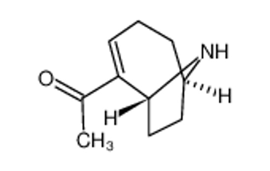 Изображение (±)-Anatoxin A fumarate,(±)-2-Acetyl-9-azabicyclo[4.2.1]non-2-enefumarate